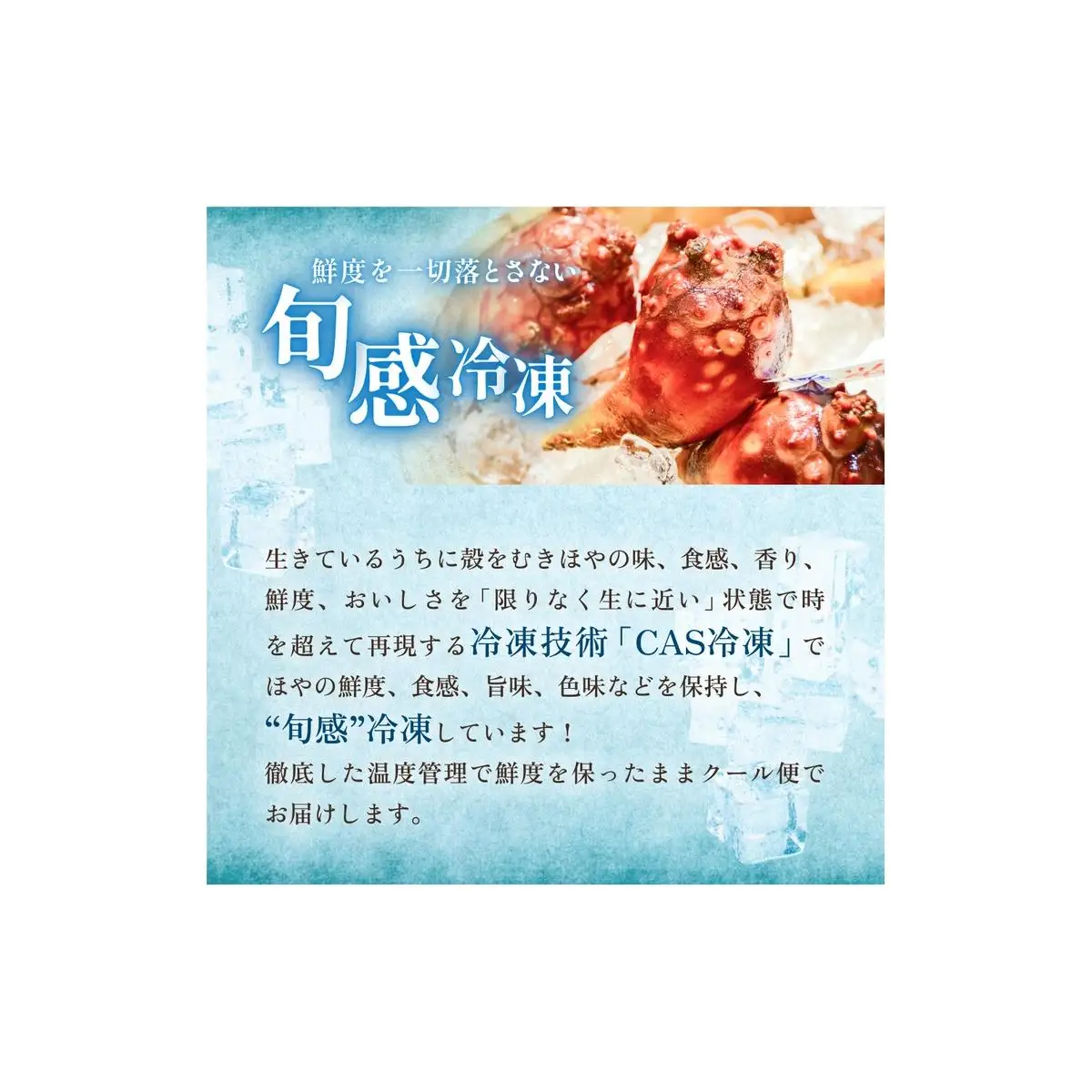 お刺身ほや 10個 セット ほや ホヤ お刺身 刺身 肉厚 珍味 おつまみ おかず 晩酌 海鮮 魚介 海産物 新鮮 冷凍 宮城県産 宮城県 石巻市