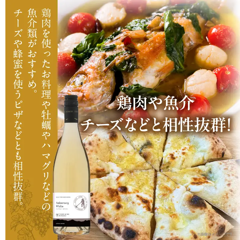 【数量限定】アンベラシー ホワイト(計1本) ワイン 酒 アルコール 国産_T014-0485