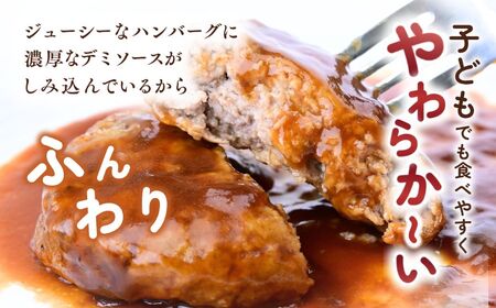 デミグラハンバーグ 180g × 18個 計3.2kg ハンバーグ レンジ 龍ケ崎市