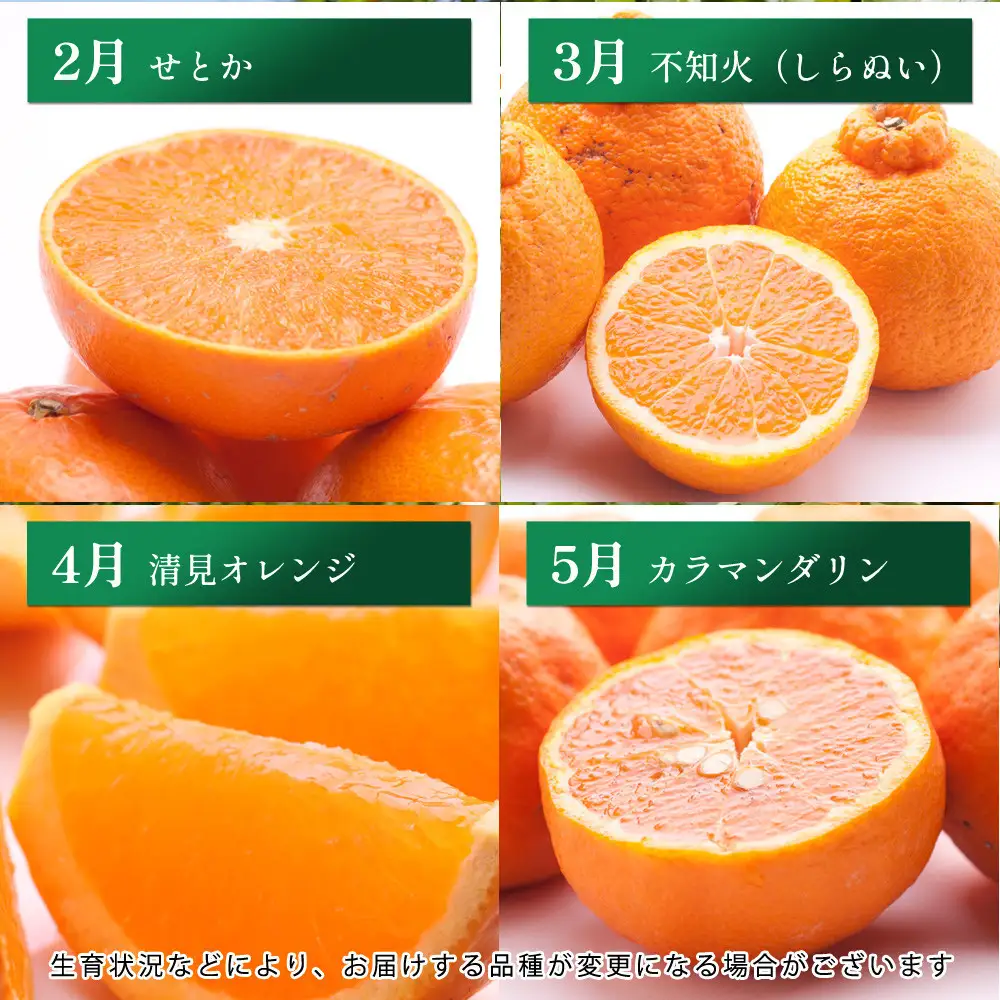 厳選 柑橘定期便S（毎月）全12回［IKE285］