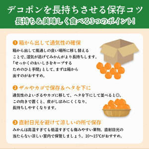 先行予約 デコポン 約5kg 柑橘デコポン