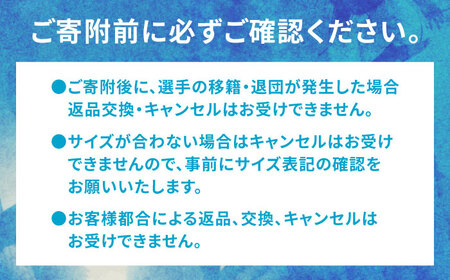 SAGA BALLOONERS 公式レプリカユニフォーム（ホーム） / バスケットボール プロ スポーツ 公式グッズ / 佐賀県 / 佐賀バルーナーズ[41AAAI007]