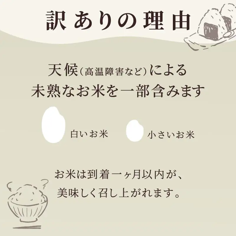 ≪ 定期便 6ヶ月 計 60kg ≫ 訳あり無洗米 10kg ( 5kg × 2袋 ) 令和7年産 がばいU米(うまい)  佐賀県産 米 お米 こめ コメ 白米 五つ星 お米マイスター厳選 鳥栖市ふるさと納税限定 弁当