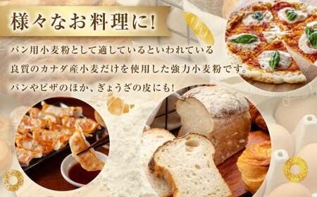 強力小麦粉 クオリテ 1kg×15個 合計15kg ／ 小麦粉 小麦 強力粉 粉 パン ピザ ぎょうざの皮 料理 常温