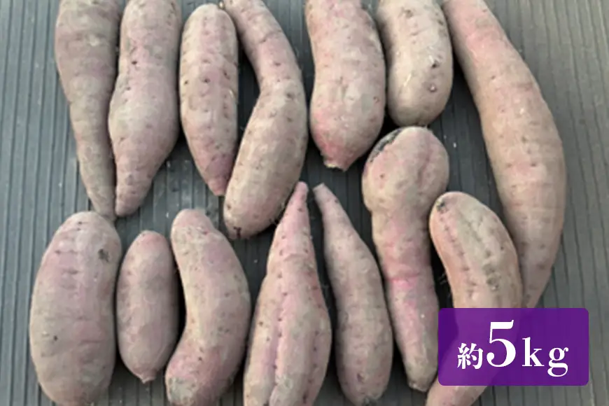 訳あり品！茨城県産熟成べにはるか 約5kg さつまいも サツマイモ 芋 いも 茨城県 那珂市 B15-005