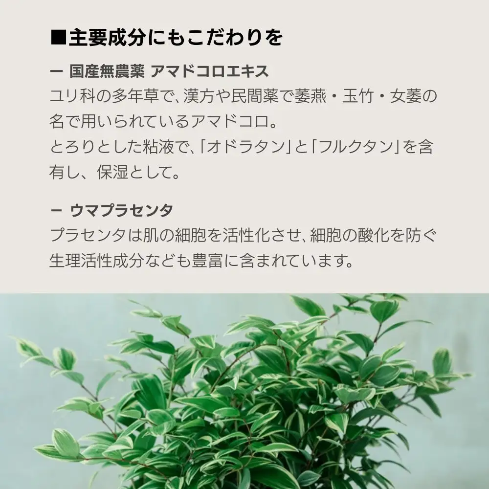 【sunao】京の拘りスキンケア クロウォッシュ 120g｜京都 自然素材 クレンジング スキンケア用品 洗顔 人気