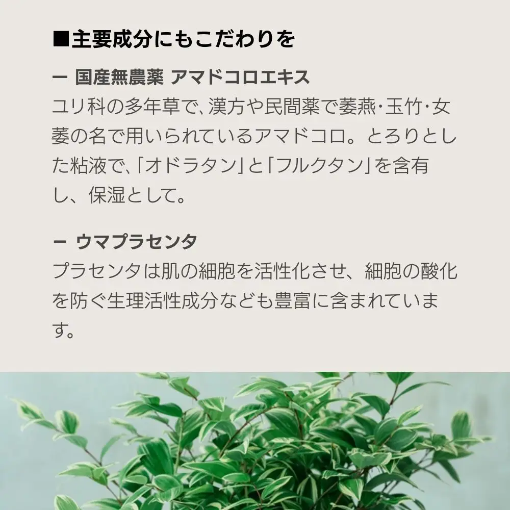 【sunao】京の拘りスキンケア リバースジェル 75g｜京都 自然素材 オールインワン スキンケア用品 人気