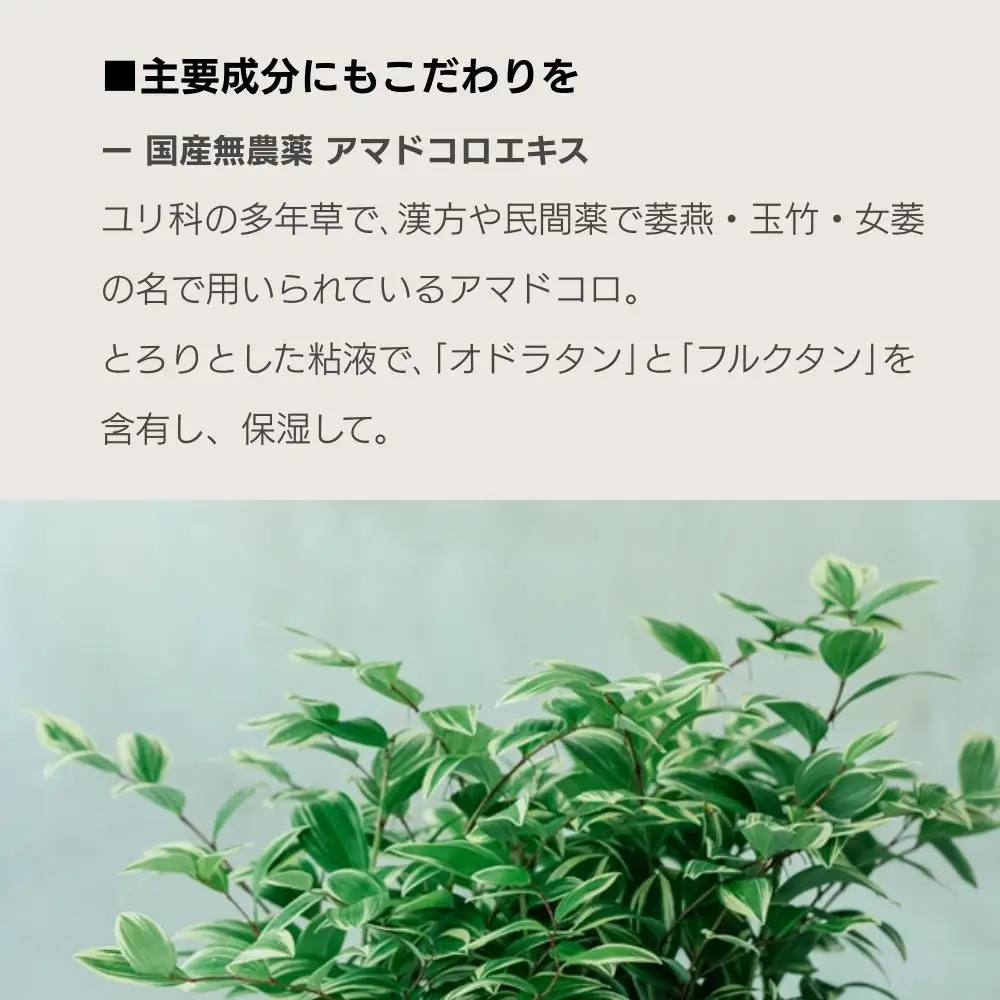 【sunao】京の拘りスキンケア アイロンセラム 18ml｜京都 自然素材 多機能美容液 スキンケア用品 高保湿 人気