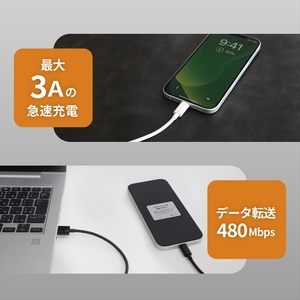 Owltech(オウルテック) 耐屈曲1万回 急速充電3A充電／データ転送 USB Type-A to USB Type-C ブレイデッドケーブル 2m OWL-CBN1AC20-BK ブラック【 神奈川県 海老名市 】