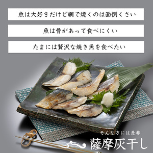 【訳あり・家庭用】薩摩の灰干し 鯖 1.2kg (浜上水産/IB038-006)  魚 干物 骨取り 骨なし 鯖 サバ 灰干し 国産