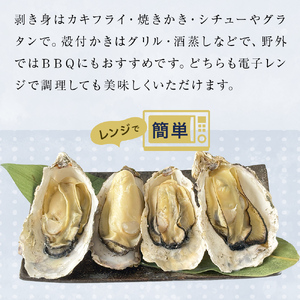 越冬かき剥き身 越冬殻付かき セット 加熱用 牡蠣 かき カキ 剥き身 むき身 殻付き 殻つき 貝 海鮮 魚介 魚介類 宮城県産 新鮮 急速冷凍 濃厚 宮城県 石巻市