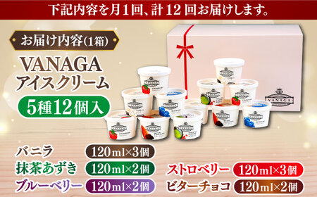 アイス 【全12回定期便】5種類のアイスクリーム12個入り[AIBH031]