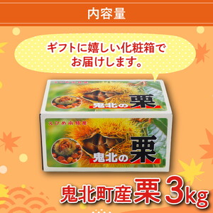 【鬼の栗拾い】鬼北町産くり 約3kg ｜ 大粒 生栗 和栗 国産栗 地域限定 丹波栗 くり 栗 栗ご飯 生栗 果物 フルーツ 先行予約 数量限定 JA えひめ南農業協同組合 ※2026年9月～発送 