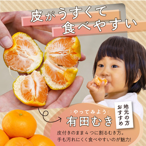 ZE6480_【2026先行予約】有田みかん 約2.5kg 【家庭用】 (S～Lサイズ混合)【まごころ手選別】