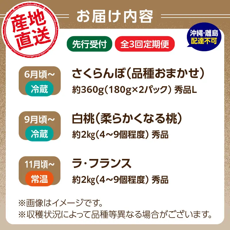 【発送月固定】山形旬彩！こだわりフルーツ定期便全３回Ｃ 063-T03