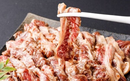 味付け肉 セット 牛カルビ 牛ハラミ 自家製だれ 計約1.2kg ／ 味付肉 牛肉 お肉 肉 カルビ カルビ肉 ハラミ ハラミ肉 ホルモン 九州 熊本県 熊本市 冷凍