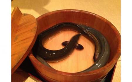 志乃ざき吉祥寺店 秘伝のタレ付き上蒲焼 4枚 セット ／ 鰻 かば焼き 東京都