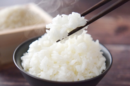 新輝米 天日干し ５kg「延興寺」｜鳥取 岩美 お米 白米 令和7年産 岩美町産コシヒカリ 延興寺【31030】