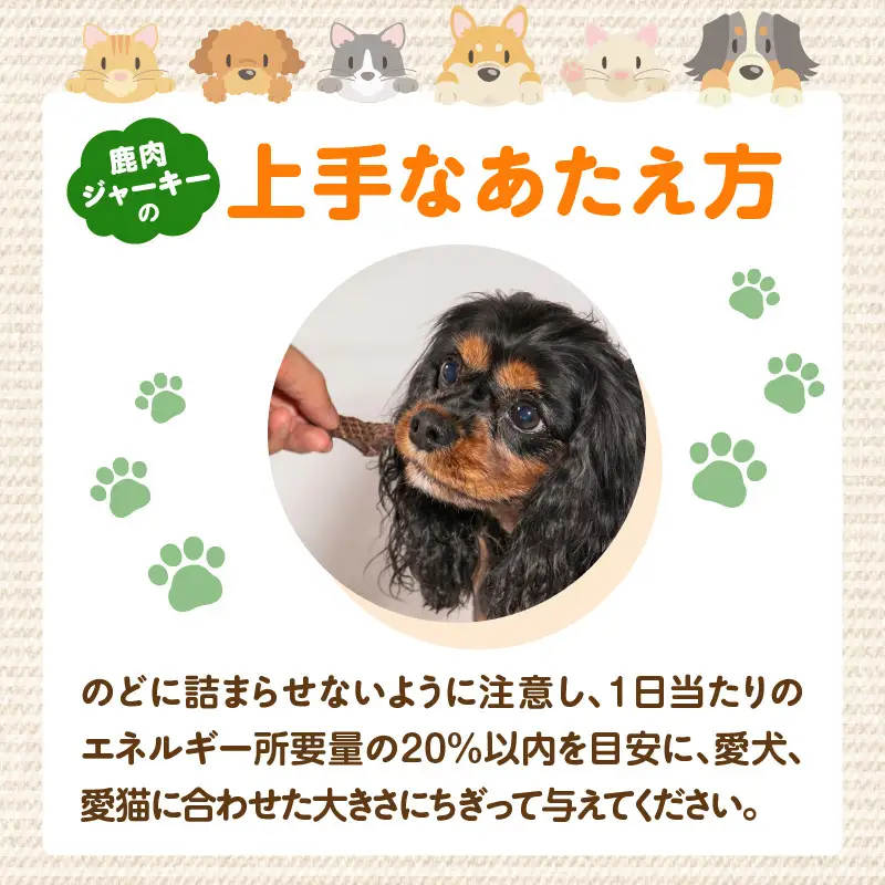 【ペットフード（犬・猫用）】 鹿肉ジャーキー 50g×2パック R15015