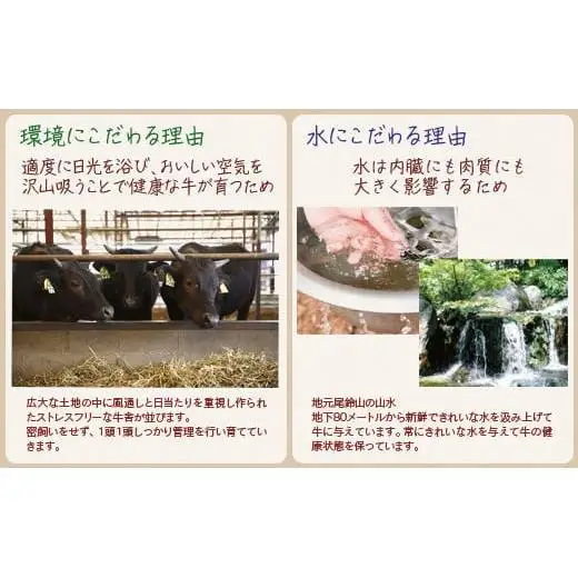 【個数限定】黒毛和牛 薄切り牛タン400g （200g×2）小分け 国産牛タン＜14-17a＞宮崎有田牧畜産業