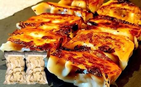 【3ヶ月定期便】 自家製野菜を使った中華料理屋さんの手作り点心セット 3種 餃子・水餃子・焼売 1回あたり計6袋 （各2袋）  計114個 