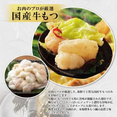 Z08-24 寄附額改定↓↓ 上田商店 博多もつ鍋セット(醤油味 2人前) もつ鍋