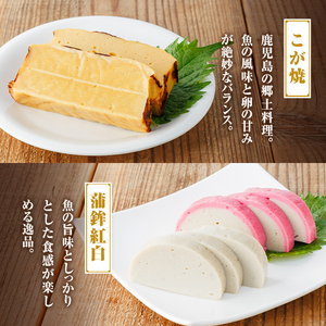 【B10003】老舗の味！さつま揚げ・かまぼこセットG(6種) 鹿児島 さつまあげ さつま揚げ 薩摩揚げ つきあげ 蒲鉾 練り物 ねりもの おかず おつまみ お惣菜 棒天 平天 セット 食べ比べ 詰合せ 詰め合わせ 冷蔵 【石倉蒲鉾】