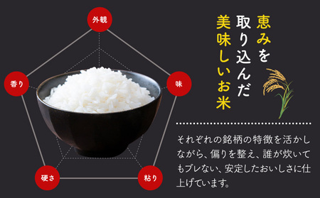 【12ヶ月定期便】 ふくおかみのり米 10kg 白米 《お申込み翌月から出荷》 お米 ごはん ご飯 rice kome