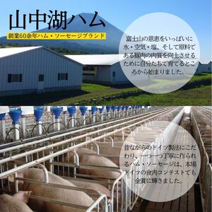 粗挽き ウインナー フランクフルト セット 合計1.1kg以上 / ドイツ コンテスト 金賞受賞 ソーセージ  詰め合わせ 加工品 肉加工品 ギフト 贈り物 贈答品 メーカー ブランド 山中湖ハム お歳暮 送料無料 【n0648_mar】