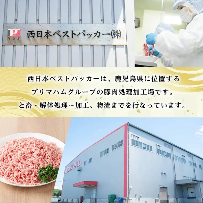 鹿児島県産 豚 ミンチ セット 計2.4kg！（300g×8パック）【00-110-13】