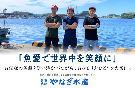 この男にお任せ！浜田の厳選鮮魚お試し便（下処理なし） 【006_2054】
