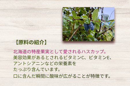 北海道産 ハスカップ 発酵酢 SUNOMO ナチュール 原液タイプ 計 1000ml （ 500ml × 2本 ） 飲むお酢 果実酢 フルーツ ビネガー 無添加