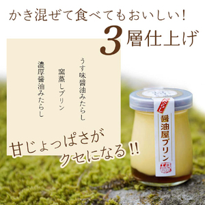 【 数量限定 】 みたらし醤油屋プリン 100g×12個 完熟醤油みたらしの和風プリン | スイーツ 和スイーツ お菓子 菓子 プリン デザート 醤油 みたらし みたらしプリン 和風プリン ご当地 和風 大分県 中津市