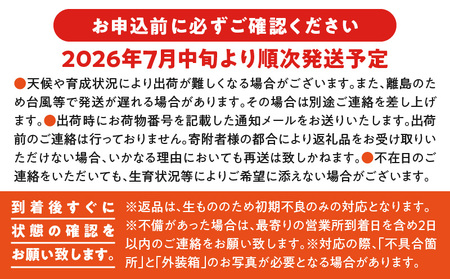 【 2026年 先行予約 】 甘い香り の 贈り物 ！ 山下農園 の 完熟アップルマンゴー 2kg （ 4～6玉 ） W063-003-02 期間限定 果物 マンゴー