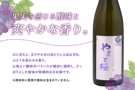 やまと桜 純米大吟醸 出羽燦々 720ml×1本 日本酒 地酒 老舗酒蔵 山形 庄内町