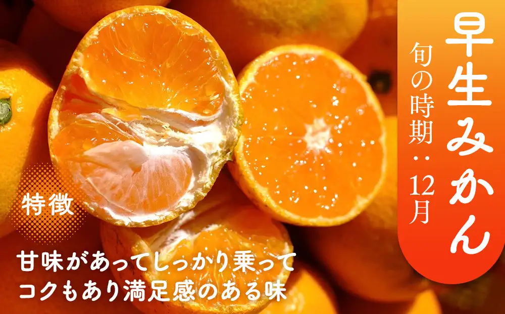 ［先行予約］［贈答用］冬採れみかん（中生みかん）2L〜3Lサイズ混合 2kg＋200g（傷み補償分）［2026年11月下旬より発送］