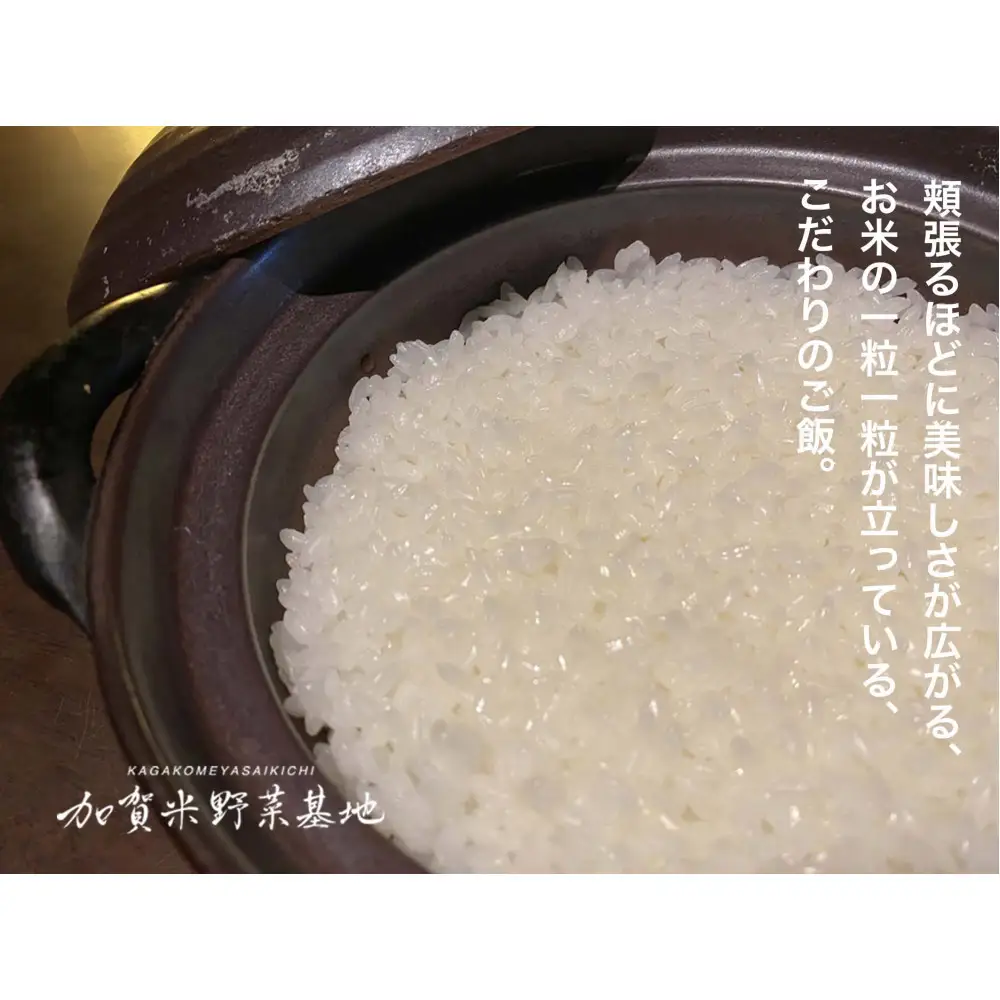 《令和7年産 新米》【12ヶ月定期便】【お米番付優秀賞受賞農家】日本一粒の大きいお米『いのちの壱』白米10kg×12回