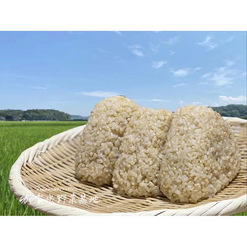 【6ヶ月定期便】【お米番付優秀賞受賞農家】日本一粒の大きいお米『いのちの壱』玄米2kg×6回
