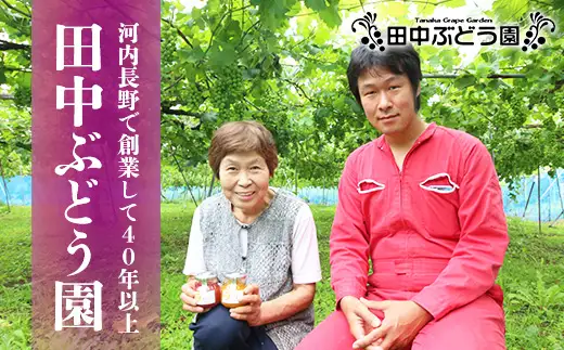 手作り自家製甘夏ピール 35g×5袋 田中ぶどう園 国産 ドライフルーツ 無添加 小分け 保存食 備蓄食 常備食 食物繊維 レア 防災食品 製菓 製パン おやつ おつまみ 送料無料