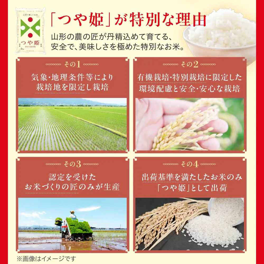 令和7年産 山形県産 つや姫 無洗米 10kg つや姫