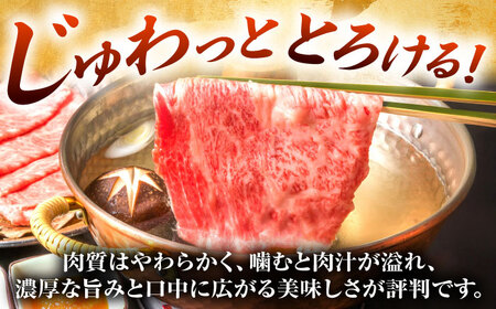 【A4-A5】博多和牛 大判霜降り 贅沢切り落とし 750g (250g×3P) [BGAB110]
