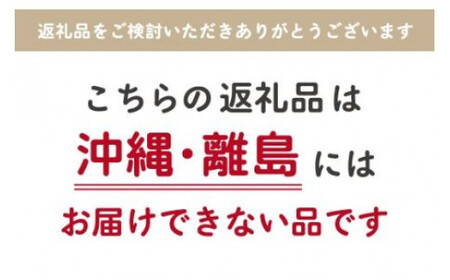 【最短2～7営業日出荷】【令和7年産】千葉県産　ふさこがね10kg (精米5kg×2袋) E028
