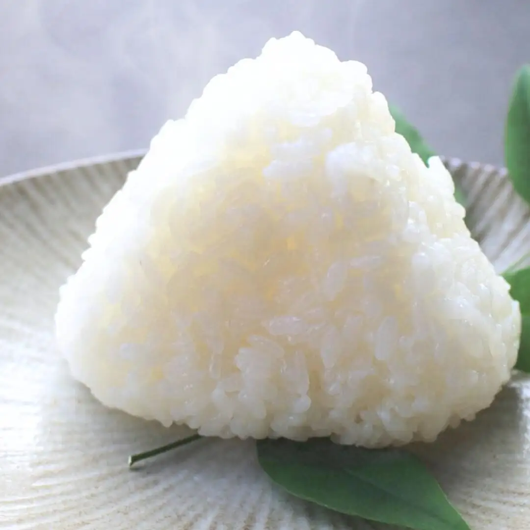 新潟県産 コシヒカリ 5kg 無洗米 令和7年 外山敏雄商店 コシヒカリ