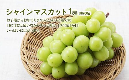 桃 ぶどう 詰合せ 2026年 先行予約 黄金 桃 2玉（1玉250g以上） シャイン マスカット 1房 約700g 岡山県 赤磐市産 フルーツ 果物 あかいわファーマーズガーデン