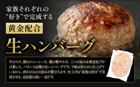 ハンバーグ 鉄板焼き 肉肉ハンバーグ  デミグラスソース ジャポネソース 食べ比べ 20個 《30日以内に出荷予定(土日祝除く)》熊本県 国産 牛肉 豚肉 鶏肉 ハンバーグ 専門店監修 小分け デミ ジャポネ 肉