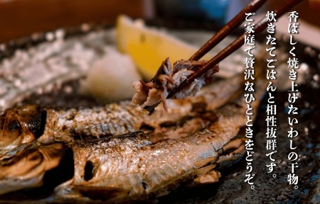 【道の駅むなかた】鐘崎漁師のおふくろの味 干物セット 6袋_HA1820