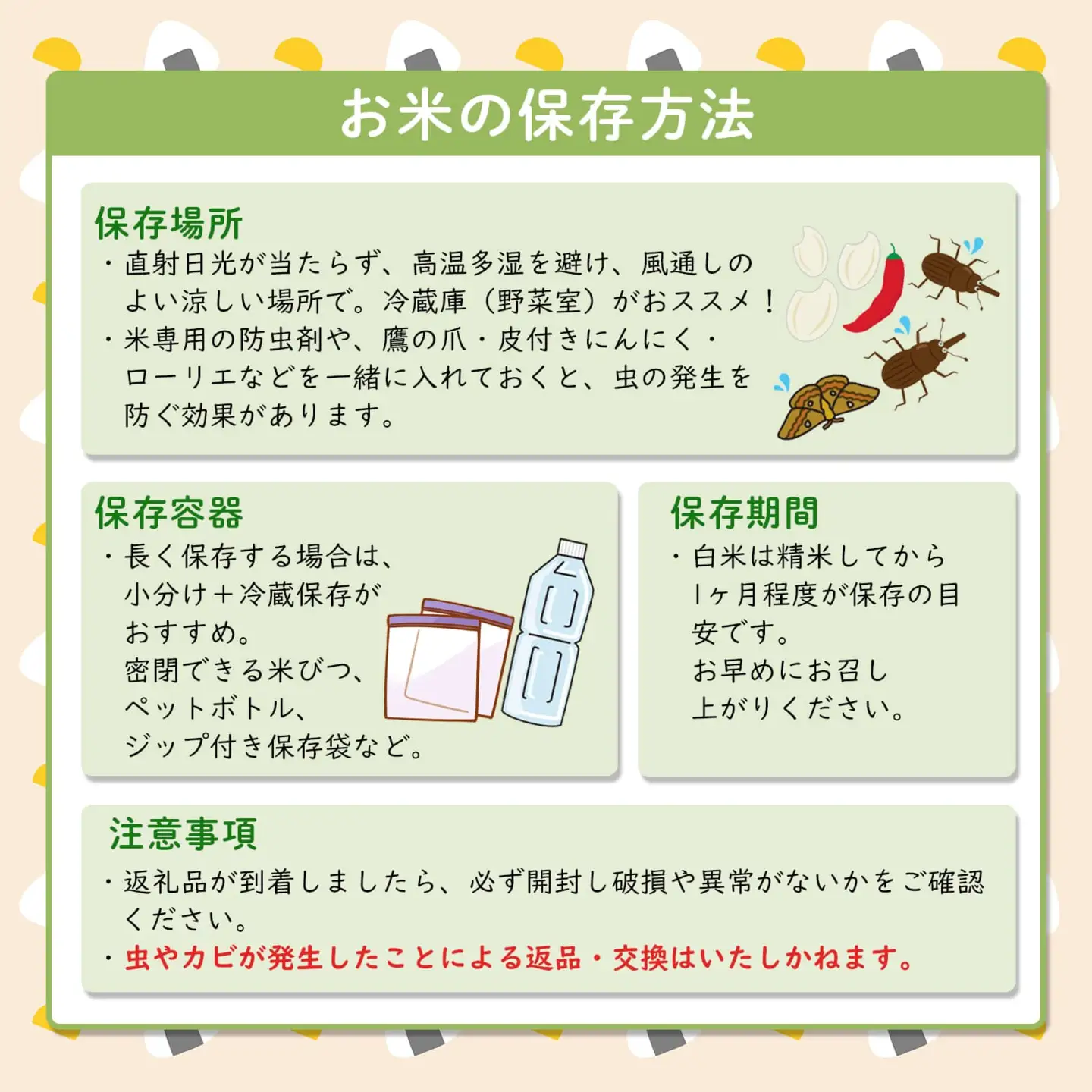 令和7年産 / 白米 《50個限定》　令和7年産 茨城県 境町産 コシヒカリ 5kg 2025年産 S275
