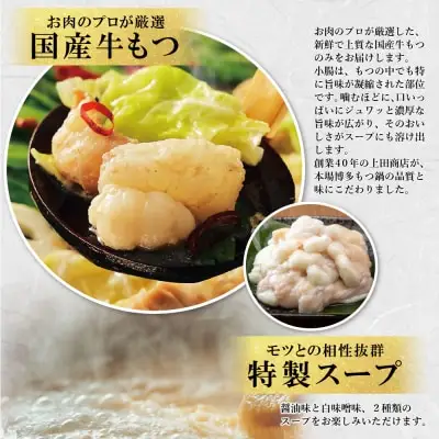 Y08-32 お徳用もつ鍋(醤油味・白味噌味 各4～5人前) もつ鍋