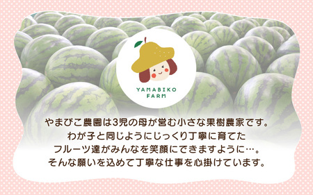 【先行予約】やまびこ農園の大玉スイカ 1玉 (7~8kg) 【2026年6月中旬以降順次発送予定】  [A-21902]