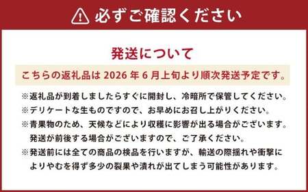 熊本県産 肥後グリーンメロン 2玉 合計3.2kg以上 【2026年6月上旬発送開始】 グリーンメロン メロン フルーツ 果物 くだもの 国産
